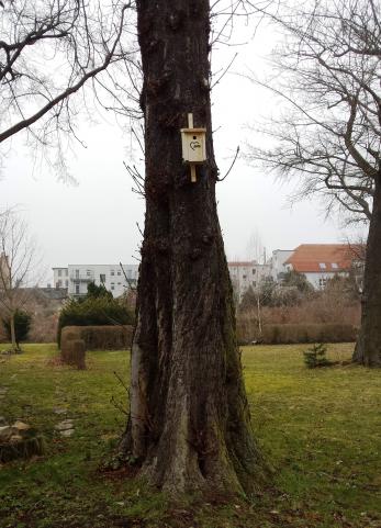 Nistkasten am Baum